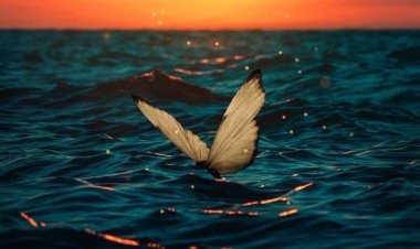 Yarından Ne İstiyorum?