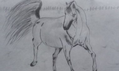 Gezginpisi'den Çizikler-1