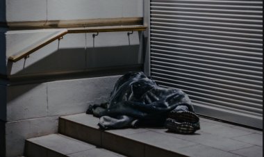 İnsanlı Şapka ve Evsiz Adam