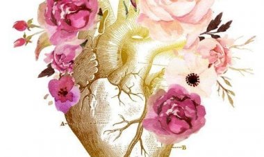 Kalbin Aşka Verdiği Öğüt