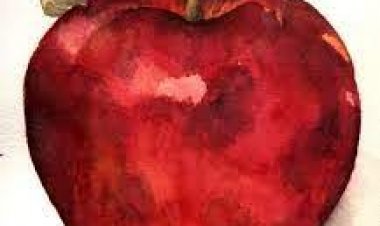 TATLI (ÇÜRÜK) ELMA