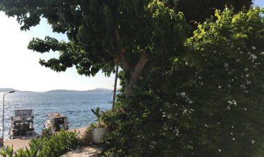 Yürürken ne kadar mutlusun?