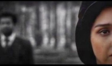 Yaralarımıza Bakıyoruz