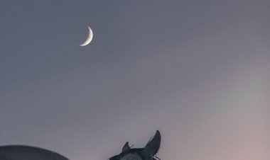 ŞEHİRLERİN RUHU VARDIR