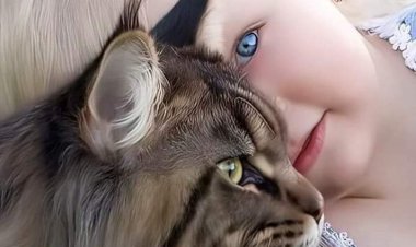 Rüya Kısalığında Mı Yaşadık?