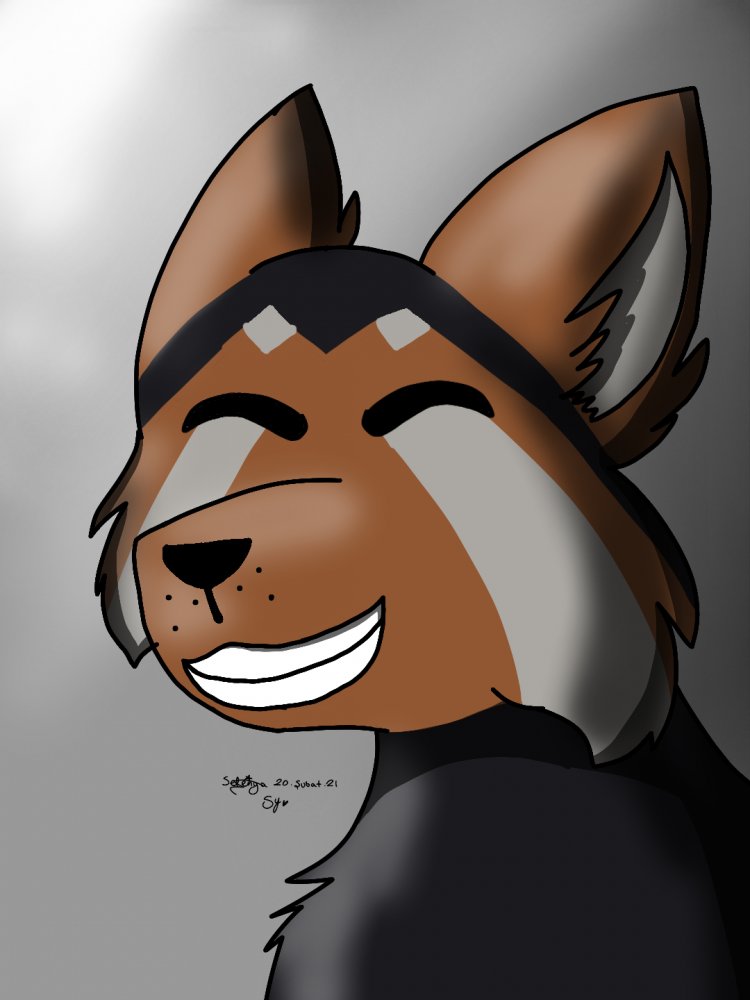 Dingo (furry şeklinde düşünün ama çizimi yok) 