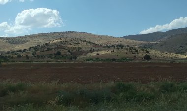 BİR GÜNDE SEVERİM SENİ