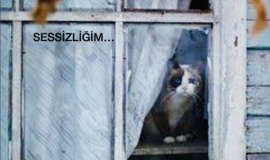 Sessizliğim…