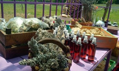 ŞEBNEM GÖKTÜRK VE LAVANTA BAHÇESİNİN KISA ÖYKÜSÜ