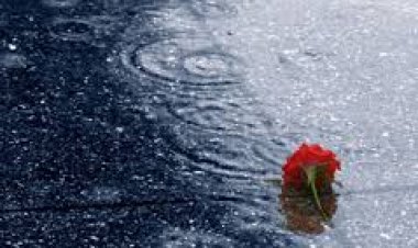 Bugün günlerden SEN,