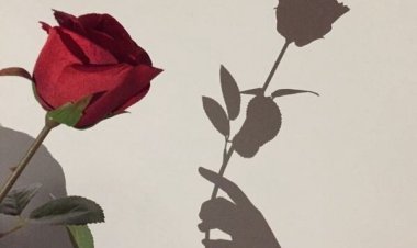 Güven Aşıladıktan Sonra