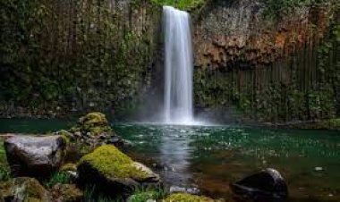 DERTLERDEN HAYATA AKMAK