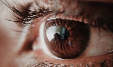 Kadrajdaki Dünyalar | 4. Kare: Meraklı Bir Yabancı