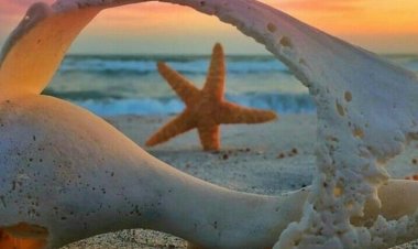 Anlaşılmaz Sanırsın