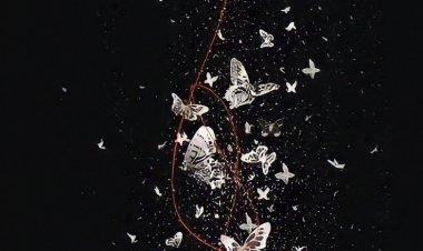 Gecenin Döngüsü (3. Bölümünden kesit)