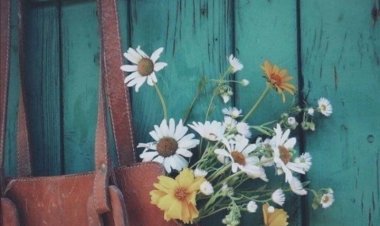 Koydum Usulca Sandığa