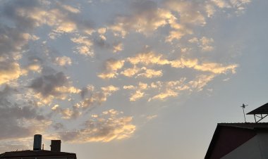 Bir Nevi Belirsizlik