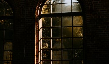 DUYGULARIN ZEVAHİRİ