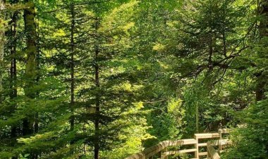 HAYAT YOLUNDA YORGUNUM