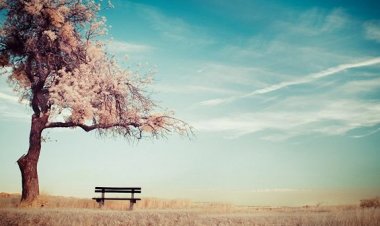 Huzuru Ney Gibi Üflemek