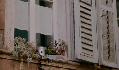 YAŞAMAK ADI ALTINDA