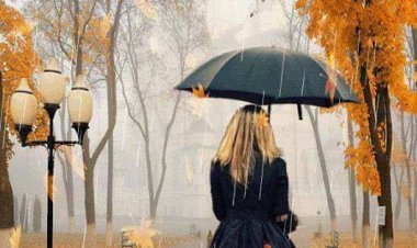 Şu "Yalnızlık" Denen