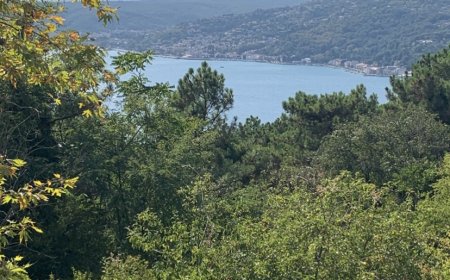 Uçmak / Küçürek Öykü