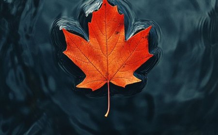 ruhumun kıyıları- güz