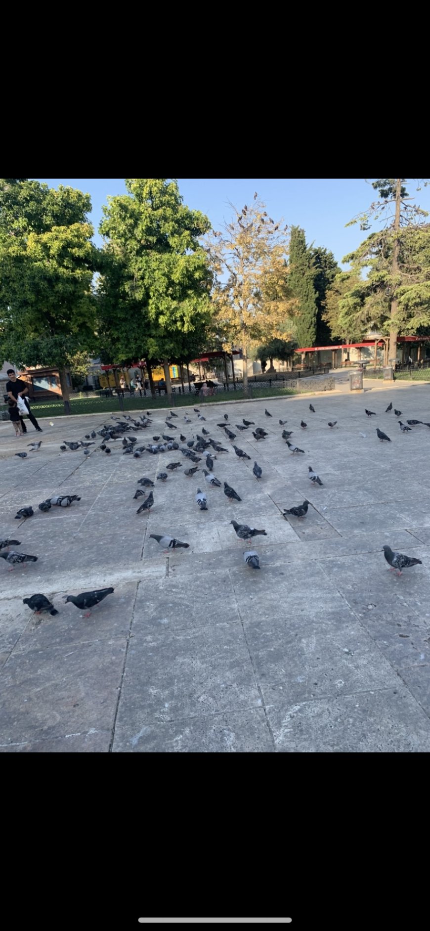 Sevmediler/ Sevemediler