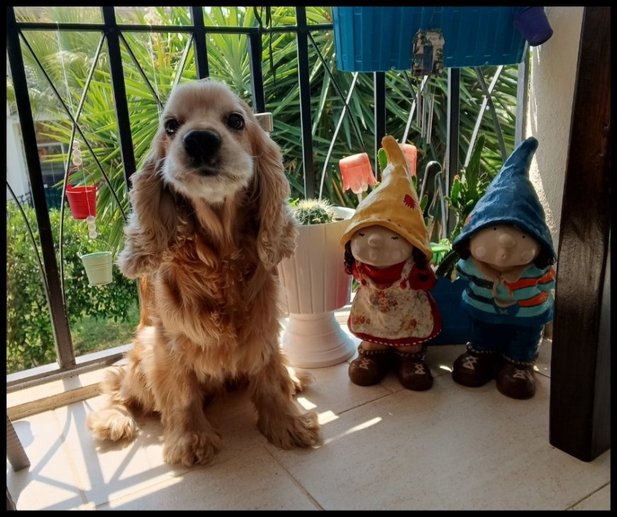 Biri Görür, Öteki Hisseder