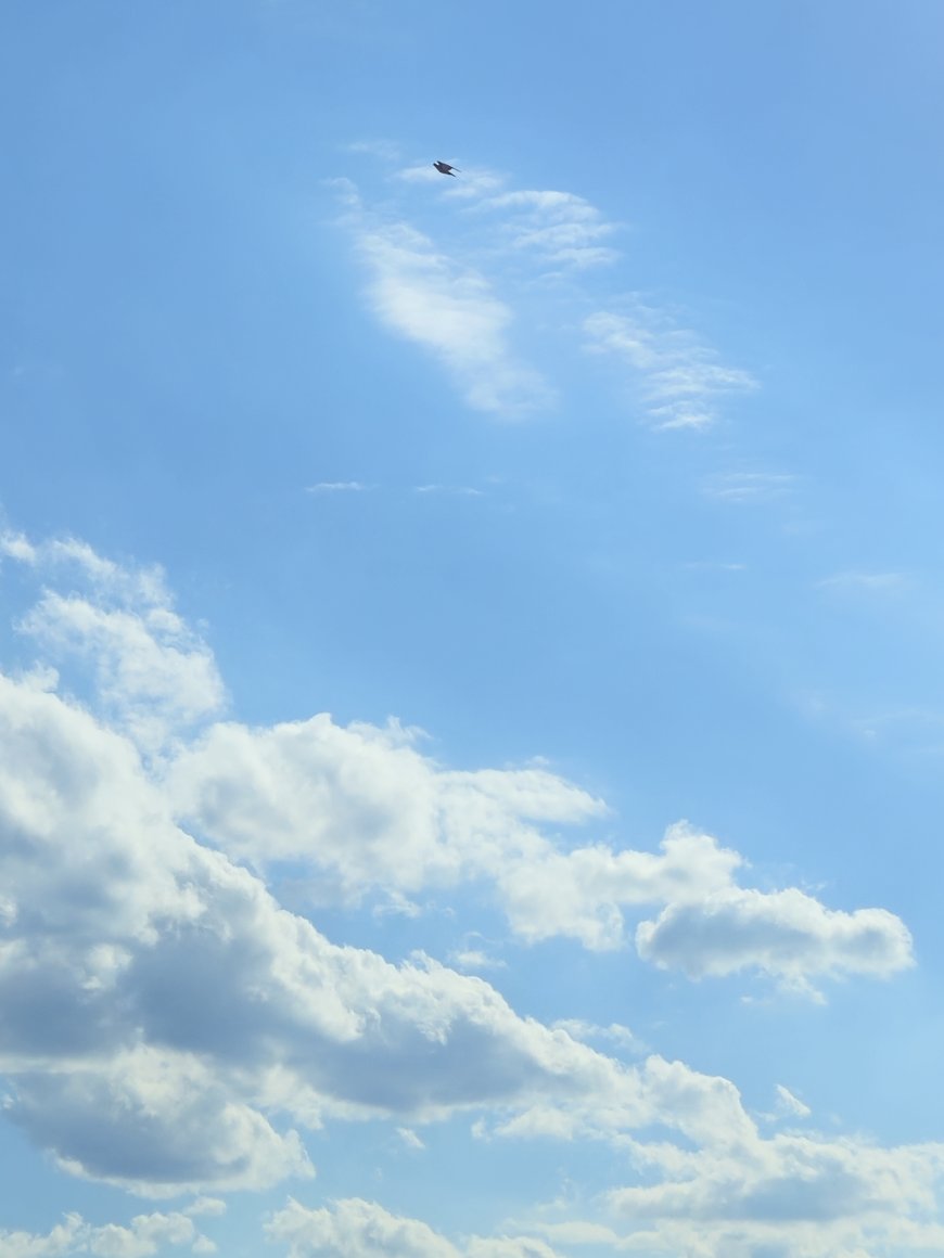 Başkasının bulutu