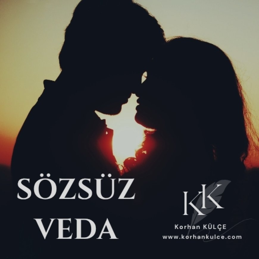 Sözsüz Veda - Hikaye