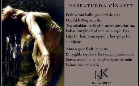 Paspaturda Cinayet - Hikaye