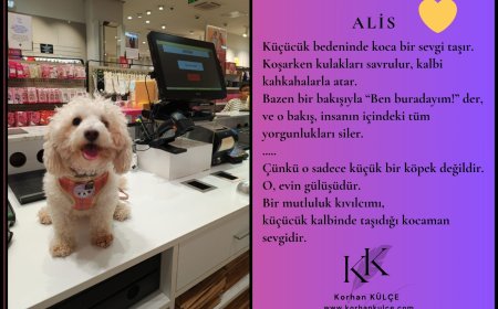 Patili Küçük Kızım Alice