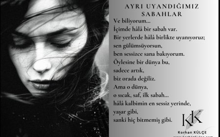 Ayrı Uyandığımız Sabahlar
