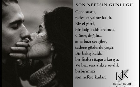 Son Nefesin Günlüğü - Hikaye