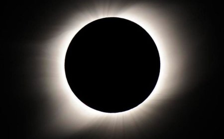 AŞKIN 'HATTÂ' HALİ