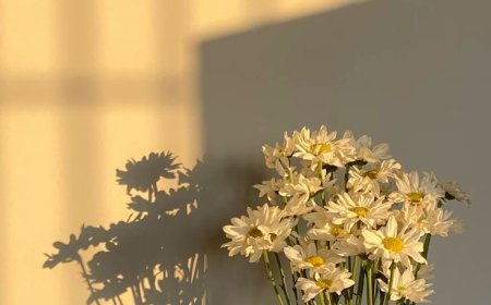 ruhumun kıyıları- çiçeklenmeler