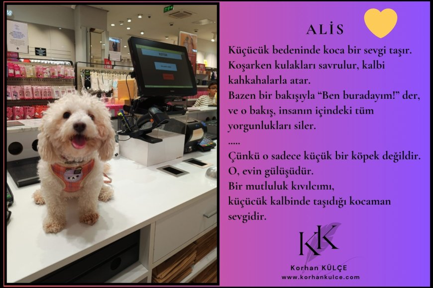 Patili Küçük Kızım Alice