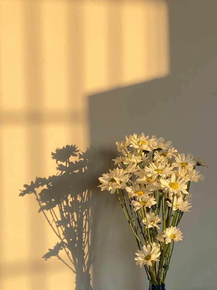 ruhumun kıyıları- çiçeklenmeler