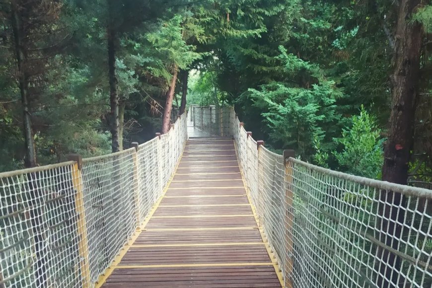 Uzak Ev