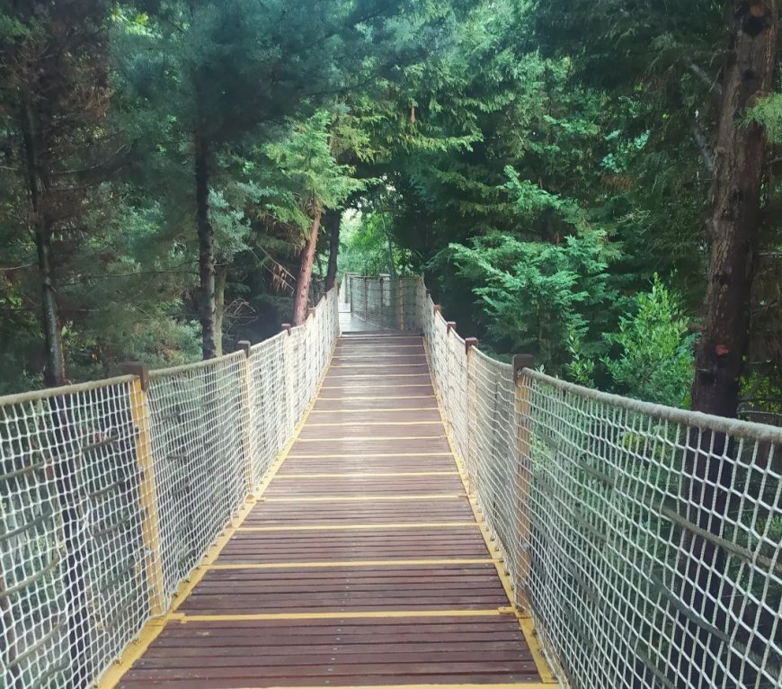 Uzak Ev